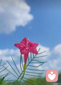 每天給自己一個開心的理由，不辜負時光，不辜負自己配圖