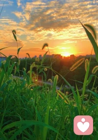 別揪著“忠誠”不放，雙向依賴才是關系的底氣；也別糾結“珍不珍惜”，你的價值才是被捧在手心的資本。合則彼此滋養，散則各自發光，世間關系，說到底不過是“互相需要”，人間珍惜，本質上都是“你有價值”。配圖