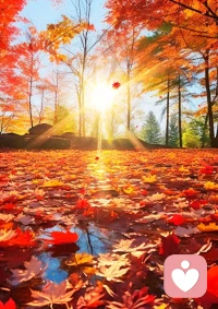 一片楓葉落地的輕響，竟比所有道理都清晰——你是否還在為別人的期待，耗著自己的人生？配圖