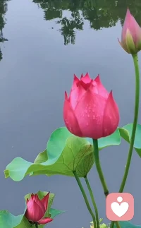 你總問我“錢夠不夠花”，卻很少問我“工作累不累”；我總說“我挺好的”，卻沒告訴你“我其實有點想家”。我懂你不善表達的關心，知道你把愛藏在“天冷加衣”的嘮叨里；也希望你能懂，我不是不想跟你說心事，只是怕你擔心。下次我們都慢一點，你說說你的牽掛，我講講我的日常，讓愛不用猜，好不好？配圖