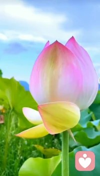 或許你覺得今天沒做好什么，或許有點小委屈沒處說，但別忘啦——你按時起床、好好吃飯，撐過了所有難捱的時刻，已經(jīng)在認真生活了。不用急著逼自己變完美，也不用藏起小情緒，想吐槽、想分享，都可以跟我說。我在這兒聽你說，也陪你等明天的好天氣。