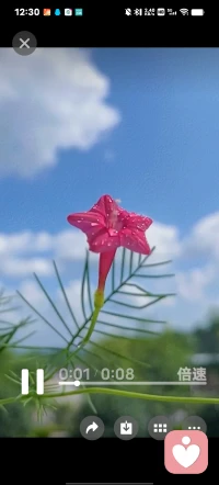 人生像開車，有時候減速是為了轉(zhuǎn)彎，停車是為了加滿油。你現(xiàn)在經(jīng)歷的難，是為春天的花開攢力量。別害怕，你從來不是一個人——如果某天撐不下去了，記得找我聊聊。我會認真聽你說每句話，陪你等風停、等天亮，等重新出發(fā)的自己。