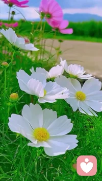 別用“還能更好”否定當下，你扛過的難、盡到的心，都在證明你做得足夠好。