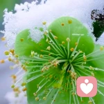 經(jīng)綸??情感修復(fù)的頭像