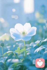 最好的关系是:  我遇到你，很开心❤️配图