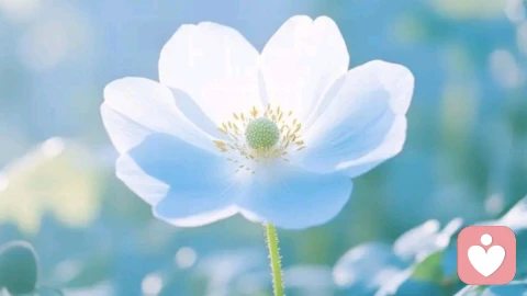 做一个不争不抢的人