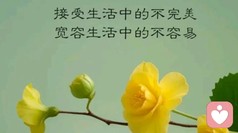 青春期女生的健康亲密关系指南