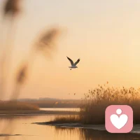 人要有翻篇的能力，不依不饶只会画地为牢。配图