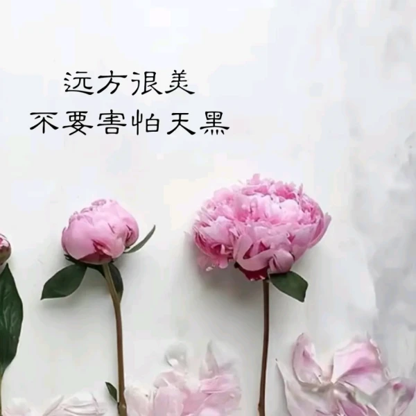 愿☆心疗