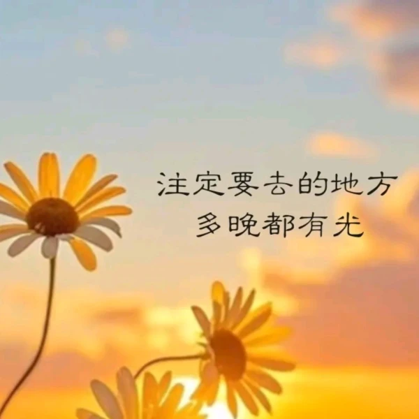 尘心⭐静