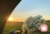 自己的生活，无需复杂，简单就好;

自己的人生，无需繁华，开心就好。配图