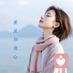 星星知我心的头像