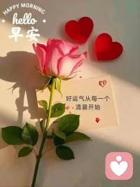 新的一天，新的开始，
用微笑点亮心情，
用努力填满时光，
不急不躁，不慌不忙，
把生活过成喜欢的模样。早配图