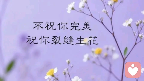 关于绿帽情节的深思