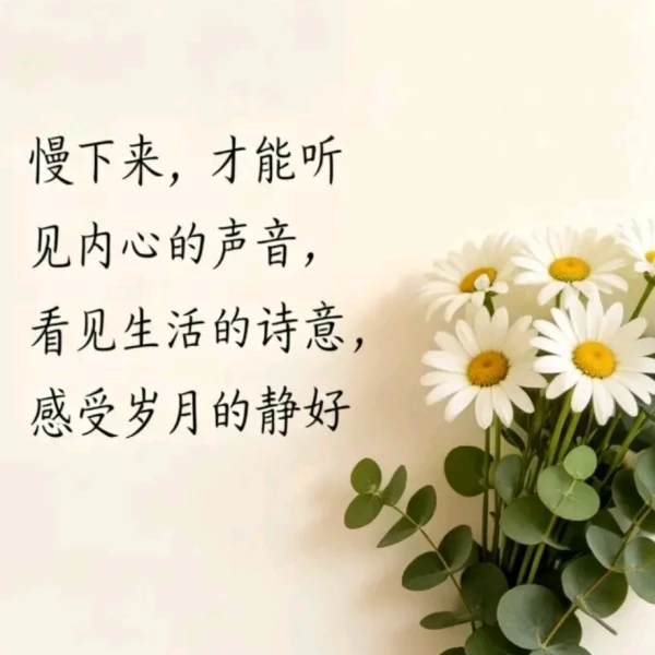 静檀✨心语