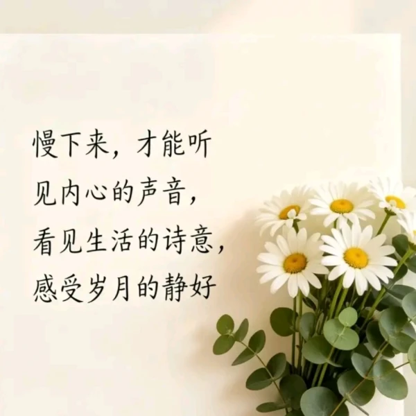 语心✨情感心理倾听者