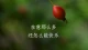 人的痛苦源于什么