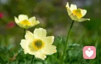 ，愛，才是我們的終極追求