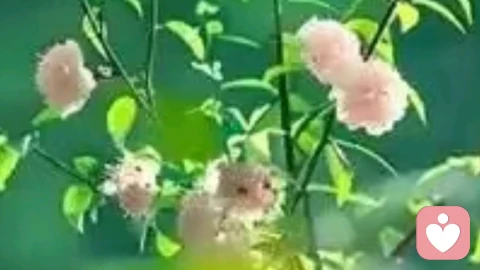 做一个外表糊涂的精明人