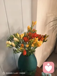 少一点表达，多一点聆听。
声音会被忽略，用心才会被看见。
聆听，是人与人之间最近的距离。配图