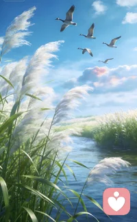 一川秋水，几缕芦花。
雁声远，天地宽。
心无挂碍，便是人间好时节。配图