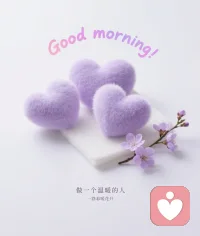 不慌不忙，安静自守。心定了，世界就温柔了。配图