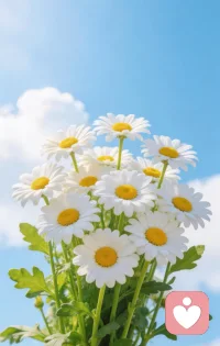 不赶时间，不追风景，
就站在正午的阳光里，
让暖意裹住全身，
连呼吸都变得慵懒又舒服。配图