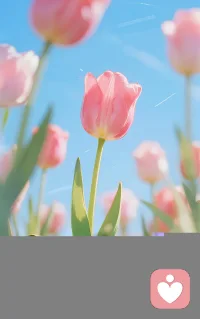 以稳定之心，赴岁月之约。