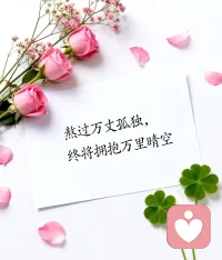 把孤单酿成酒，把等待写成诗，等风来，等云散，等一场晴空万里，照亮你走过的所有黑暗。