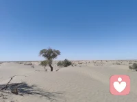 识别让人崩溃的防御型沟通

你是否经历过这样的对话：本想解决问题，对方却开始争辩、反驳、找借口，甚至沉默以对？这很可能触发了“防御型沟通”。这是一种在感到被指责或威胁时，本能地构建心理围墙的交流模式。常见的信号包括不断辩解“我不是那个意思”、推卸责任“这都怪你”、以及冷漠的“随便你怎么说”。它让沟通从合作走向对立，是亲密关系和职场协作的隐形杀手。

这种模式之所以“逼疯”人，在于它切断了连接，点燃了情绪的火药桶。当一方竖起防御，所有信息都会被曲解为攻击。真正的议题被搁置，争吵焦点变成了“谁对谁错”。这不仅让问题悬而未决，更会让主动沟通的一方感到巨大的无力、愤怒与被忽视，仿佛一拳打在棉花上。最终，双方都精疲力尽，关系也布满了裂痕。

要打破这个僵局，关键在于从“攻击-防御”转向“共同面对问题”。作为发起者，请用“我”的感受开头，如“当XX发生时，我感到有些困惑”，代替“你总是…”的指责。作为回应者，则需觉察自己的防御冲动，先倾听而非反驳。尝试理解对方话语背后的需求，共同确认：“我们共同要解决的是什么？”唯有卸下盔甲，真诚的沟通才能真正开始。