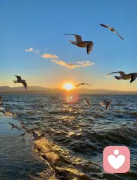 最舒服的關系，大概是一個愿意講，一個愿意聽，不覺得煩。