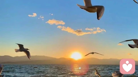 沉默何以成绝境