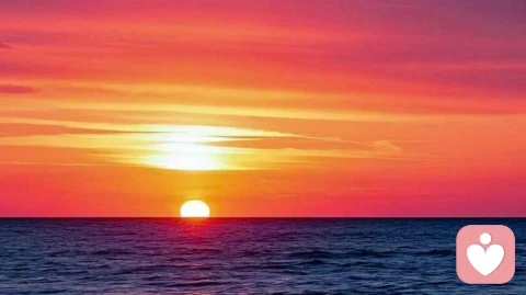 看见，是养育的本质