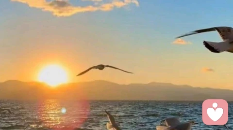 反驳的背后，是内心的荒芜