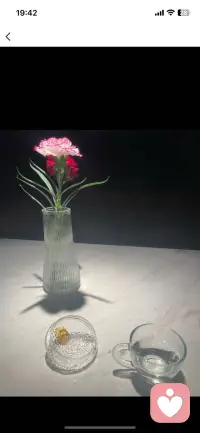 🌱，我总把自己活成一座花园：一半种满诗意日常的花（就像茶席上那束康乃馨，在光影里开得热烈又温柔），一半栽满精神世界的树（在图书馆的静谧里，让知识与思考慢慢长成遮荫的林）。我从不需要依赖外界的养分，只因懂得无条件偏爱自己，每一段独处都是自我滋养的旅程，而这样舒展的我，本就值得所有美好。☀️ #个人成长 #情绪安放 #无条件偏爱自己才是终身浪漫