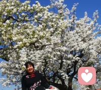 梨花盛放，洁白如雪。
不约而同的偶遇，我来到了给力平台。
想遇的两个来访，同时要求京腔京韵。
我来自北京大兴，西瓜之乡，口音相对纯正。
北京四周为河北团宠，京郊语调与河北雷同。

刚刚进驻平台，取得了倾听师的认证。
持续学习是我对这份职业和来访者的承诺，
倾听领域在不断的更新，唯有保持空杯心态，
不负每一份沉甸甸的信任