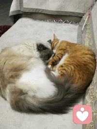 听和听见是两回事儿
停是耳朵的工作，而听见是心灵的参与
嗯只是耳朵捕捉到对方的声音，
而听见，则是用心去理解对方的内心感受
前者只是声音的接收，
而后者是深层次的共情和理解
在这里，你的心情会被完全的听见，
而不仅仅只是听到，

这里有我聆听你的声音