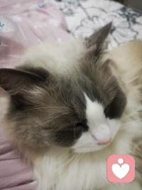 今天帮助了一位来访者找到了困扰他三年的情绪卡点，一种深层的“不配得感”，

当他意识到这种感觉源于童年。某个被忽视的瞬间，眼泪决堤后是释然的微笑。

我再次确信专业的陪伴不仅仅是倾听，更是用专业知识储备照亮那些被遗忘的角落，让人生的轨迹因此转向光明

短暂调整，开始接待下一位来访。配图