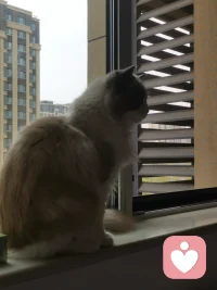 又一位来访者结束了倾听服务。

最后他从容地说，“我现在感觉我能当自己的倾听师了，”

这是我能收到的最佳反馈，咨询的终极目标，不是依赖，

而是赋能。

看着他带着新习得的工具和更坚实的自我，

走向未来，我感到无比的欣慰。我体现出了自己的价值

把你的心结交付于我，让我成为你生命里不可多得的倾听者配图
