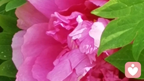 新手，如何做个个合格的倾听师