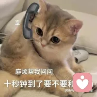 倾听师女35年情感分析经验，

情感指导，情感疏导，分手复合，追求crush。亲情、友情、爱情、工作的情绪压力，个人成长，原生家庭，职场规划和心理咨询。

专业的情感分析师会像知心好友一样，耐心倾听你的故事，深入剖析问题的根源。

无论是家庭中的矛盾冲突，比如与父母的观念差异、夫妻间的争吵；

亲情里的沟通障碍，像与兄弟姐妹的疏远；

爱情中的分分合合，或是同事间的竞争与合作问题，我都能精准定位关键所在。

1v1秒回可语音，非机构，来这一次也希望你带走的是满满的干货，而不是空洞的鸡汤。

尊重咨询者，帮你分析问题给建议！

正规绿色咨询，正规绿色。配图