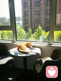 如何发现有人需要倾诉
我们的状况时好时坏，这是身为人类无法避免的一点。大到性格，生活压力，社交活动，亲友关系，小到起床气这样的琐事，都能让我们时不时的疲惫不堪，在生命中的不同阶段，我们会体验不同的心理过程，状态在心理健康谱系中上下游走。我们或许会从精神振奋到平和淡然，再到意志消沉。上述概念最先由美国心理学家科里凯斯提出。而其中意志消沉常常用于描述那些可诊断为心理异常的表现

一哥身边的人都可能有过这样的经历，日常生活中，当各种麻烦事如滚雪球般堆积时，会让一些平时小菜一碟的事也突然变得艰难无比。有时三四个负面事件可能会同时发生，比如与朋友争吵，工作中与人起冲突，在经济上有压力，与家人的关系陷入紧张等。这些事情单独出现时都很好处理，但一起出现就会把人压得透不过气，或者处理起来难度陡增
那么要如何判断别人是否遇到了这样的困境呢？根据共情式倾听的经验，让人们生活陷入困苦的一般是债务等经济问题，失业、工作压力，家庭问题和孤寂感。首先要明白的一点是，并不是每次别人陷入困难的时候，你都能发现蛛丝马迹。情绪上的压力是很难识别的，即使是伴侣或朋友，要分辨出他们是否正承受痛苦也并不容易。尤其对男性而言，即使生活出现困难，他们也不愿意说出来。不想自己的问题成为别人的负担，不过每个人都有自己应对压力的方式，这些就是能提供线索的蛛丝马迹。真人会比平时。更多有的人则吃得更少，有的人看上去明显情绪低落，有的人则会用开玩笑来掩饰，有的人性欲会增强，有的人则会丧失性欲。你要找的不是某个具体的表征，而是易于对方正常行为的那些显著变化。如果平时外向热情。而今却变得内向冷淡，又或者平时很愿意做的事情，突然就不做了，那可能就是出问题了，这些异样，你都能识别出来，要相信你的直觉
一年中的某些特定时刻，人们的孤独感会比平时更甚。比如过节的时候，大部分人都忙着和亲友团聚，交换礼物。参与各种热闹的社交活动，大家似乎都很欣喜悦兴奋。但实际上对于相当数量的人而言，这样的节日场景，会引发自己内心更大的焦虑。比如，当重要的亲友离世后，每年的生日。周年纪念，假期或者节庆活动等这些特殊的日子里，心中难免会感到巨大的压力，从而引发强烈的情绪波动，在这种情况下，即使是平时看来微不足道的小事儿，都能引起激烈的争吵，因此要特别留心配图