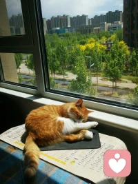 如何发现有人需要倾诉
我们的状况时好时坏，这是身为人类无法避免的一点。大到性格，生活压力，社交活动，亲友关系，小到起床气这样的琐事，都能让我们时不时的疲惫不堪，在生命中的不同阶段，我们会体验不同的心理过程，状态在心理健康谱系中上下游走。我们或许会从精神振奋到平和淡然，再到意志消沉。上述概念最先由美国心理学家科里凯斯提出。而其中意志消沉常常用于描述那些可诊断为心理异常的表现

一哥身边的人都可能有过这样的经历，日常生活中，当各种麻烦事如滚雪球般堆积时，会让一些平时小菜一碟的事也突然变得艰难无比。有时三四个负面事件可能会同时发生，比如与朋友争吵，工作中与人起冲突，在经济上有压力，与家人的关系陷入紧张等。这些事情单独出现时都很好处理，但一起出现就会把人压得透不过气，或者处理起来难度陡增
那么要如何判断别人是否遇到了这样的困境呢？根据共情式倾听的经验，让人们生活陷入困苦的一般是债务等经济问题，失业、工作压力，家庭问题和孤寂感。首先要明白的一点是，并不是每次别人陷入困难的时候，你都能发现蛛丝马迹。情绪上的压力是很难识别的，即使是伴侣或朋友，要分辨出他们是否正承受痛苦也并不容易。尤其对男性而言，即使生活出现困难，他们也不愿意说出来。不想自己的问题成为别人的负担，不过每个人都有自己应对压力的方式，这些就是能提供线索的蛛丝马迹。真人会比平时。更多有的人则吃得更少，有的人看上去明显情绪低落，有的人则会用开玩笑来掩饰，有的人性欲会增强，有的人则会丧失性欲。你要找的不是某个具体的表征，而是易于对方正常行为的那些显著变化。如果平时外向热情。而今却变得内向冷淡，又或者平时很愿意做的事情，突然就不做了，那可能就是出问题了，这些异样，你都能识别出来，要相信你的直觉
一年中的某些特定时刻，人们的孤独感会比平时更甚。比如过节的时候，大部分人都忙着和亲友团聚，交换礼物。参与各种热闹的社交活动，大家似乎都很欣喜悦兴奋。但实际上对于相当数量的人而言，这样的节日场景，会引发自己内心更大的焦虑。比如，当重要的亲友离世后，每年的生日。周年纪念，假期或者节庆活动等这些特殊的日子里，心中难免会感到巨大的压力，从而引发强烈的情绪波动，在这种情况下，即使是平时看来微不足道的小事儿，都能引起激烈的争吵，因此要特别留心配图