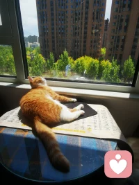 如何发现有人需要倾诉
我们的状况时好时坏，这是身为人类无法避免的一点。大到性格，生活压力，社交活动，亲友关系，小到起床气这样的琐事，都能让我们时不时的疲惫不堪，在生命中的不同阶段，我们会体验不同的心理过程，状态在心理健康谱系中上下游走。我们或许会从精神振奋到平和淡然，再到意志消沉。上述概念最先由美国心理学家科里凯斯提出。而其中意志消沉常常用于描述那些可诊断为心理异常的表现

一哥身边的人都可能有过这样的经历，日常生活中，当各种麻烦事如滚雪球般堆积时，会让一些平时小菜一碟的事也突然变得艰难无比。有时三四个负面事件可能会同时发生，比如与朋友争吵，工作中与人起冲突，在经济上有压力，与家人的关系陷入紧张等。这些事情单独出现时都很好处理，但一起出现就会把人压得透不过气，或者处理起来难度陡增
那么要如何判断别人是否遇到了这样的困境呢？根据共情式倾听的经验，让人们生活陷入困苦的一般是债务等经济问题，失业、工作压力，家庭问题和孤寂感。首先要明白的一点是，并不是每次别人陷入困难的时候，你都能发现蛛丝马迹。情绪上的压力是很难识别的，即使是伴侣或朋友，要分辨出他们是否正承受痛苦也并不容易。尤其对男性而言，即使生活出现困难，他们也不愿意说出来。不想自己的问题成为别人的负担，不过每个人都有自己应对压力的方式，这些就是能提供线索的蛛丝马迹。真人会比平时。更多有的人则吃得更少，有的人看上去明显情绪低落，有的人则会用开玩笑来掩饰，有的人性欲会增强，有的人则会丧失性欲。你要找的不是某个具体的表征，而是易于对方正常行为的那些显著变化。如果平时外向热情。而今却变得内向冷淡，又或者平时很愿意做的事情，突然就不做了，那可能就是出问题了，这些异样，你都能识别出来，要相信你的直觉
一年中的某些特定时刻，人们的孤独感会比平时更甚。比如过节的时候，大部分人都忙着和亲友团聚，交换礼物。参与各种热闹的社交活动，大家似乎都很欣喜悦兴奋。但实际上对于相当数量的人而言，这样的节日场景，会引发自己内心更大的焦虑。比如，当重要的亲友离世后，每年的生日。周年纪念，假期或者节庆活动等这些特殊的日子里，心中难免会感到巨大的压力，从而引发强烈的情绪波动，在这种情况下，即使是平时看来微不足道的小事儿，都能引起激烈的争吵，因此要特别留心配图