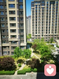  很多心事只能藏在心里，无人理解，无人诉说，真的太孤独了。配图