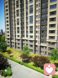 情绪没有对错，难过从来都不是你的错。配图
