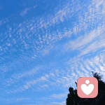 素若星辰的头像