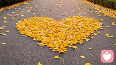 为何有些情侣总在分分合合?