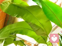 ?收到句“你在真好”，筆尖頓了頓。其實我沒做什么，不過是借段時間，讓你和自己好好聊聊。暮色溫柔，適合存放未說完的話。