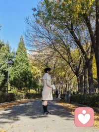 身體的污濁好清潔，但人心的污濁呢？有時(shí)候覺(jué)得自己想讓世界更美好的愿望，像是蚍蜉撼大樹(shù)！配圖